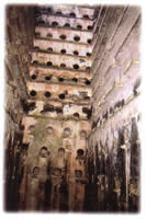 Torre Interior Barbate